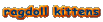 ���O�h�[���̎q�L���
