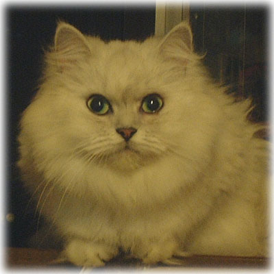 �y���V����peru